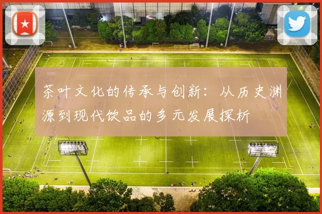 茶叶文化的传承与创新:从历史渊源到现代饮品的多元发展探析