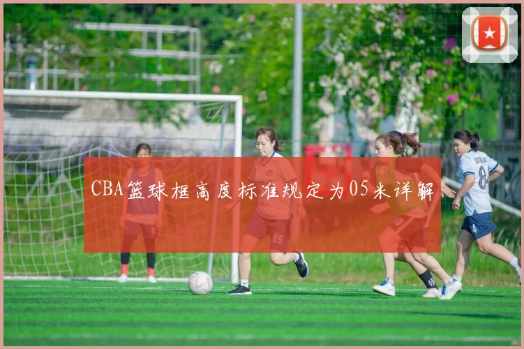 CBA篮球框高度标准规定为05米详解