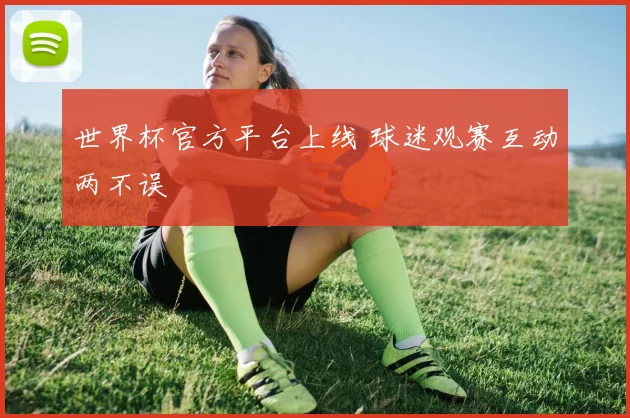 世界杯官方平台上线 球迷观赛互动两不误
