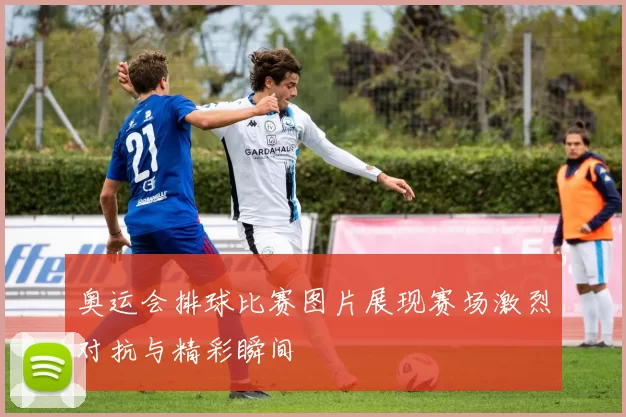 奥运会排球比赛图片展现赛场激烈对抗与精彩瞬间