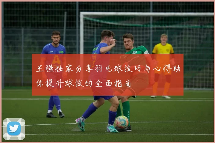 王强独家分享羽毛球技巧与心得助你提升球技的全面指南