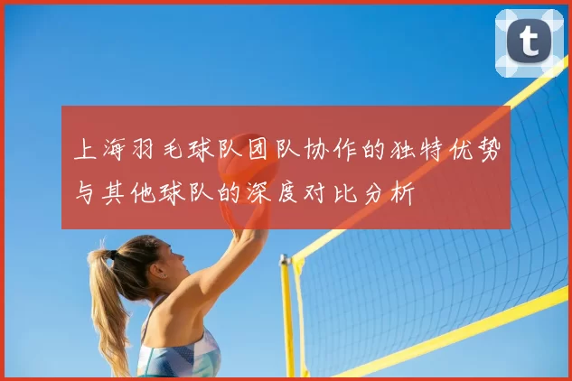 上海羽毛球队团队协作的独特优势与其他球队的深度对比分析