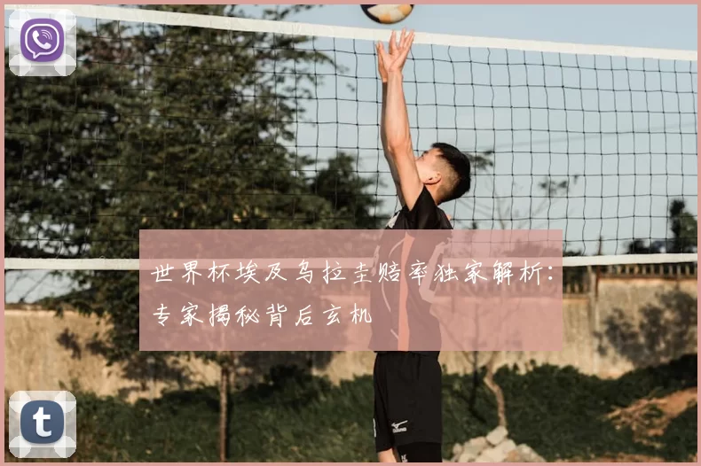 世界杯埃及乌拉圭赔率独家解析:专家揭秘背后玄机
