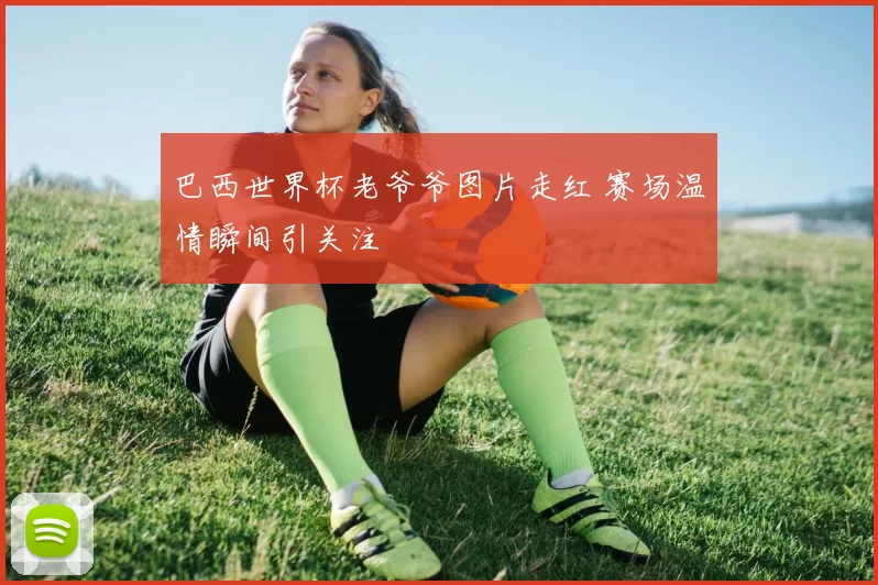 巴西世界杯老爷爷图片走红 赛场温情瞬间引关注