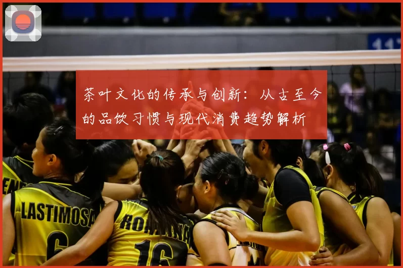 茶叶文化的传承与创新:从古至今的品饮习惯与现代消费趋势解析