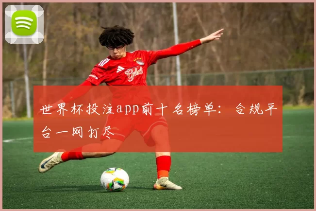 世界杯投注app前十名榜单:合规平台一网打尽