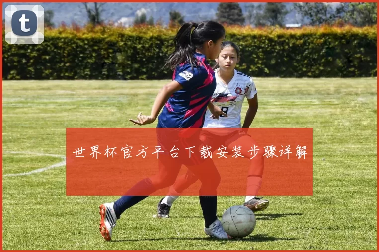 世界杯官方平台下载安装步骤详解