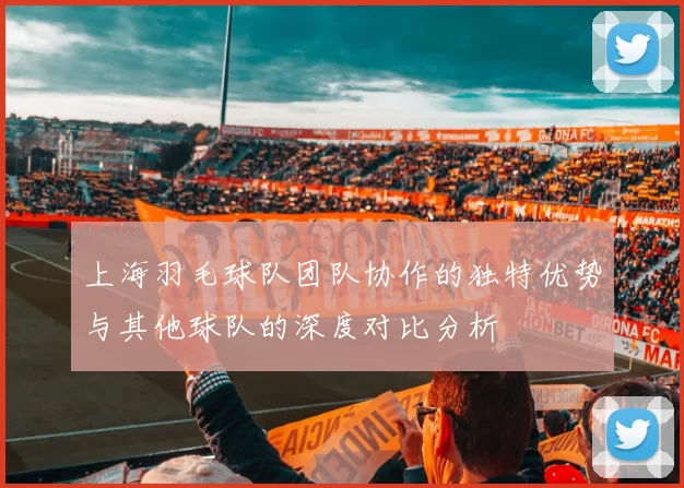 上海羽毛球队团队协作的独特优势与其他球队的深度对比分析