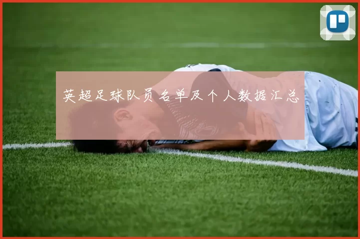 英超足球队员名单及个人数据汇总
