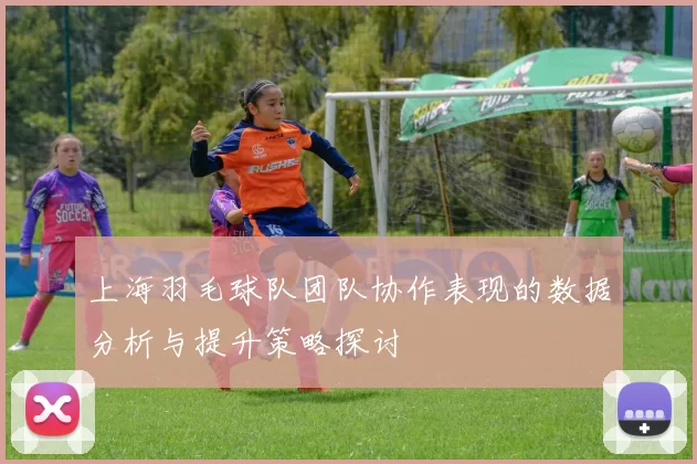 上海羽毛球队团队协作表现的数据分析与提升策略探讨