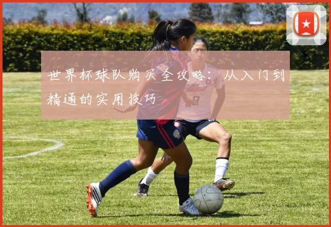 世界杯球队购买全攻略：从入门到精通的实用技巧