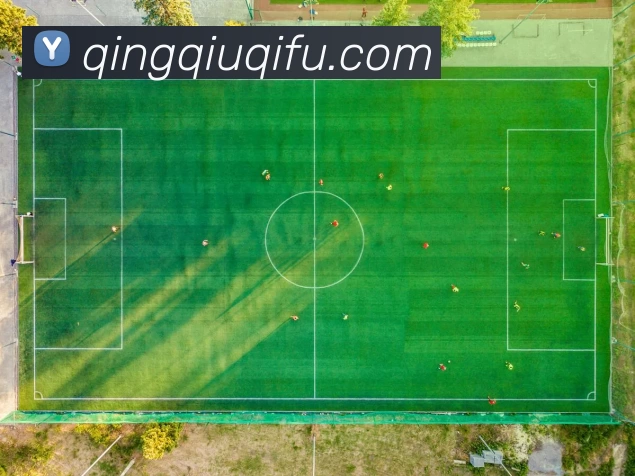 华体会体育发展历程